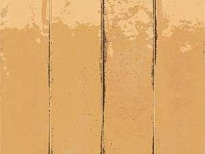 NVF Fusion Senape 2.5 x 10 Glossy